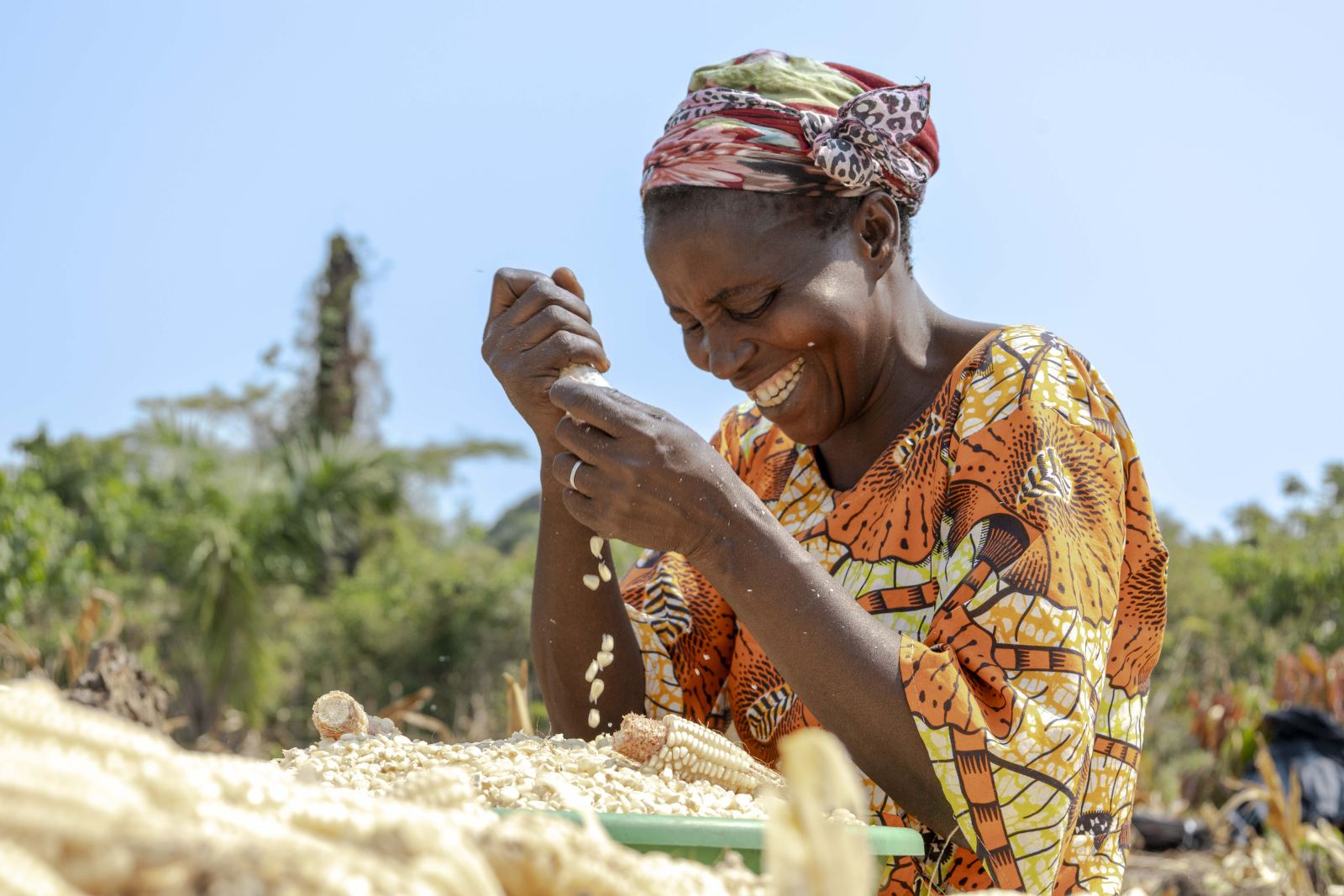 Sécurité Alimentaire & Agriculture